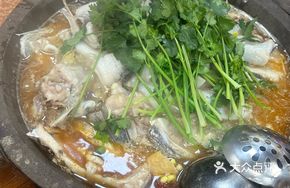 Large Stone Pot Fish
