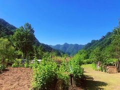 -秦岭风景区