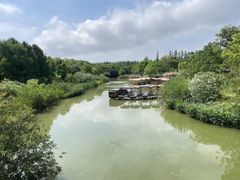 -上海长兴岛郊野公园