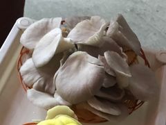 黑金钢-仙蘑洞