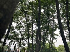 -西溪南古村落