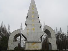 -水杉园