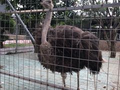 -迪茵湖田家舍生态农场