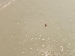 -上海外滩茂悦大酒店