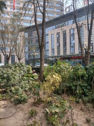 -河南中医药大学第一附属医院-医疗整形