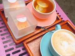 -柴犬高等学院·狗咖·柴犬售卖·宠物训练