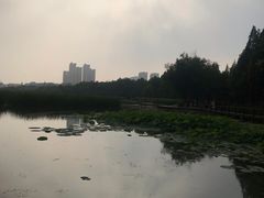 -前关湿地公园