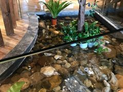 景观位-小城粥道·海胆鲜虾粥(解放广场店)