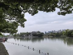 -江心屿景区