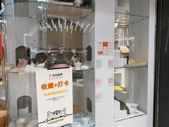 -COLOR PETS 撸猫馆·购猫·猫咖(长风大悦城店)