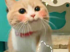 -老宅原住民沙茶面精品小吃(龙头路店)