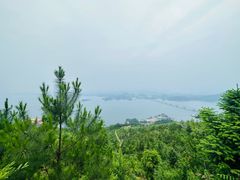 -千岛湖天屿景区