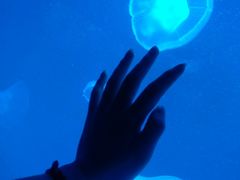 -左海海底世界