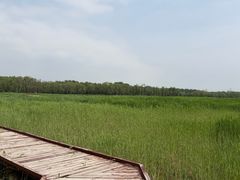 -西青郊野公园