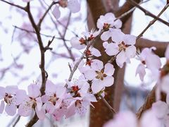 景点-元大都城垣遗址公园