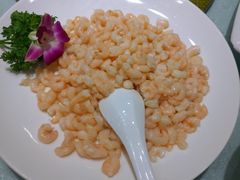 -石湖大酒店(桐泾店)