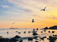 -银沙滩浴场