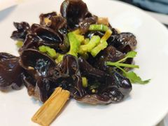 -来相会饺子·新辽菜(甘家口店)