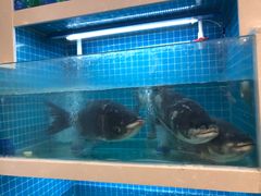 -元银甲·湖北地标美食(汉阳店)