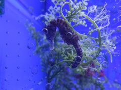 -多彩贵州城极地海洋世界