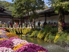 -杭州植物园