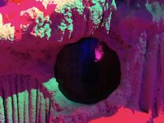 -水晶之星洗浴温泉汗蒸