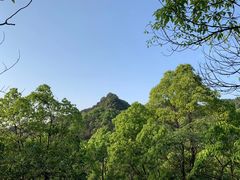 -南山植物园