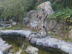 android_upload_pic-金隅凤山酒店