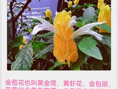 -北京植物园-展览温室