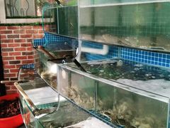 水产区-蟹谢蒸鲜自助餐厅
