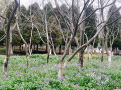 -白塘生态植物园