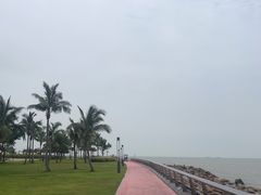 -野狸岛