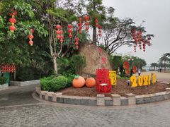 -野狸岛