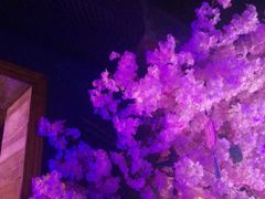 -好久不见网红乐队酒吧(鼓浪屿海底世界店)