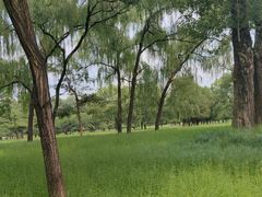 -承德避暑山庄景区