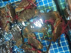 -板桥海鲜广场(文明东店)