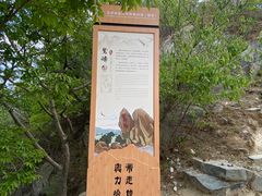 -北京鹫峰国家森林公园