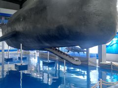 -上海海洋大学鱼文化博物馆(军工路校区)