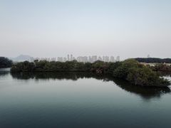 -厦门园林博览苑