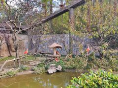 -上海野生动物园