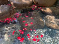 -厦门日月谷温泉渡假村