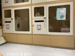 -柏萃动物医院·骨科·牙科