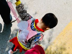 -长春公园(普阳街道)