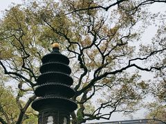 -普陀山风景名胜区-法雨禅寺