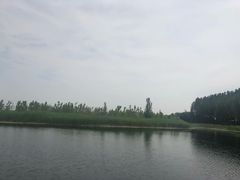 -白洋淀景区