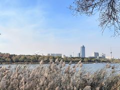 -长春市南湖公园