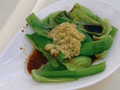 姜茸捞水东芥菜-鸿福楼(观澜店)