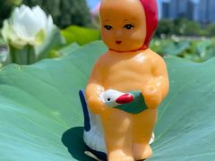 -莲花池公园