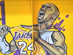 -成康体育青少年篮球培训(相城店)