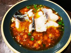 -肥鱼屯活鱼锅(惠工街店)